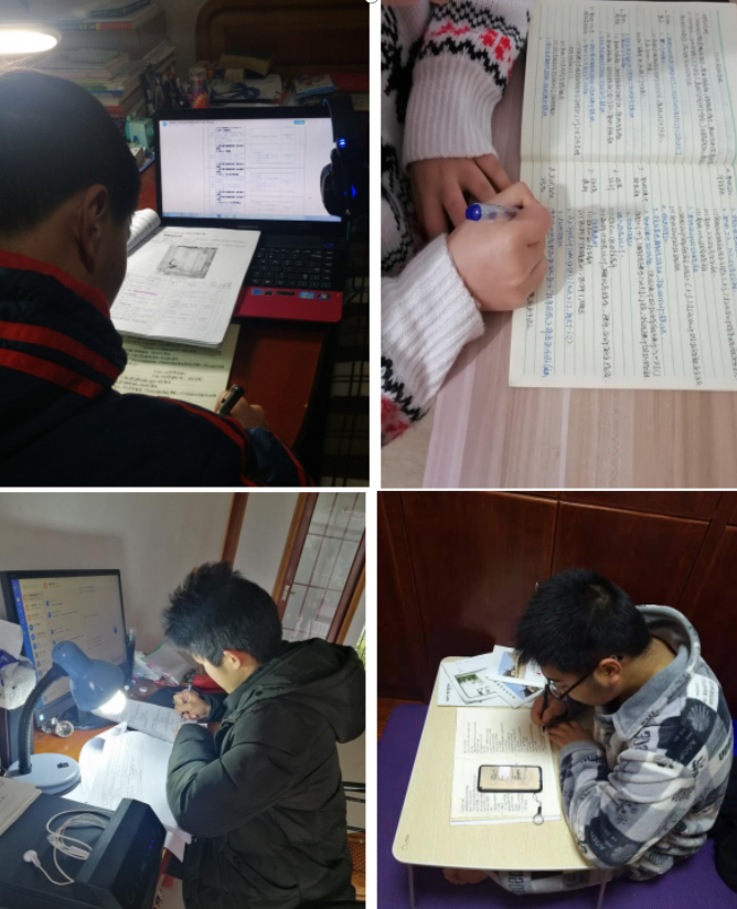 24361e74ea494e12aee2ff67ea835b81.png 24361e74ea494e12aee2ff67ea835b81.png